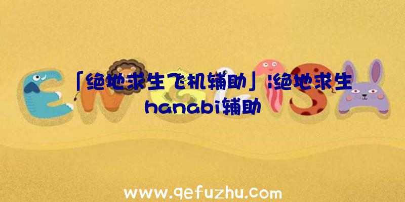 「绝地求生飞机辅助」|绝地求生hanabi辅助